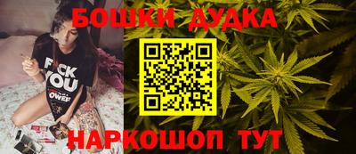 прущие грибы Кандалакша