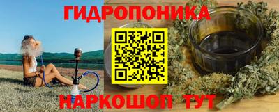 прущие грибы Кандалакша