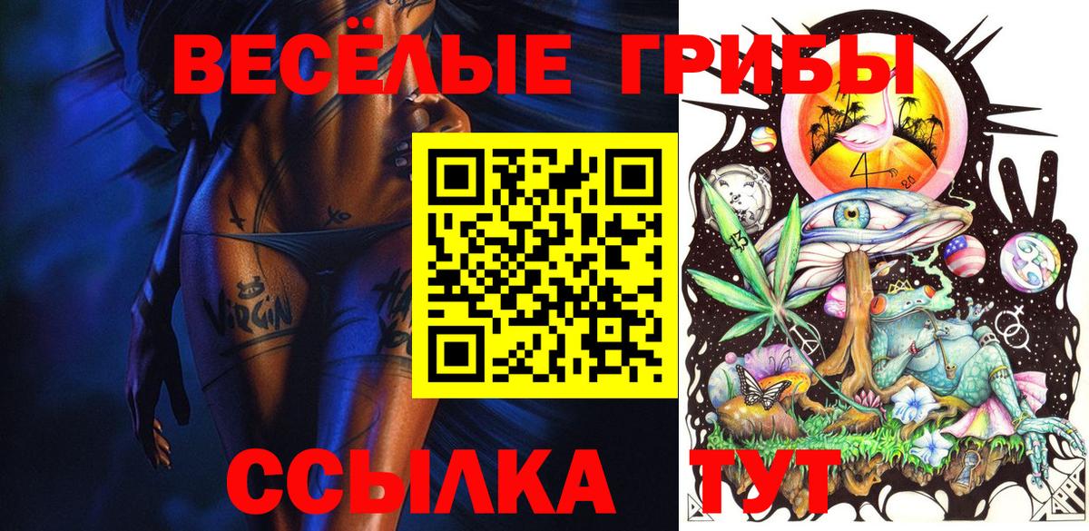 Галлюциногенные грибы GOLDEN TEACHER  Вход с VPN  Галлюциногенные грибы GOLDEN TEACHER  Кудымкар 